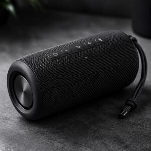 Dude Speaker 111d4