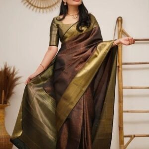 Pattu Sarees nn8