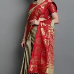 Fancy Sarees nn71