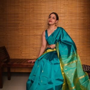 Pattu Sarees nn1